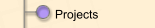 Projects